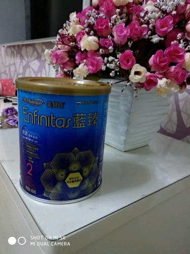 美赞臣蓝臻二段适用报告